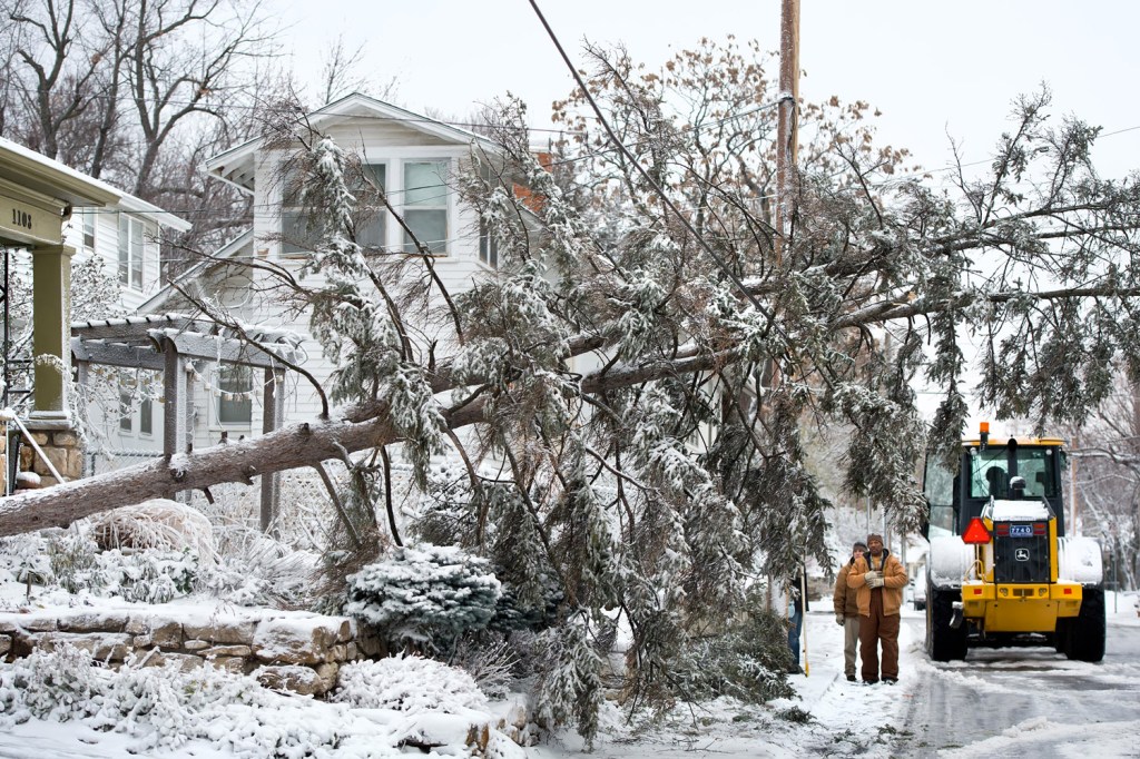 image: Kansas City, Miss., city workers examine a fallen tree that landed on a telephone wire during snow and windstorm on Dec. 20, 2012, in Kansas City.