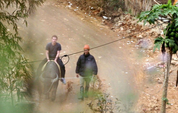 Facebook website founder Mark Zuckerberg rides a water buffalo in northern resort town of Sapa in Lao Cai province, Vietnam, Dec. 26, 2011.