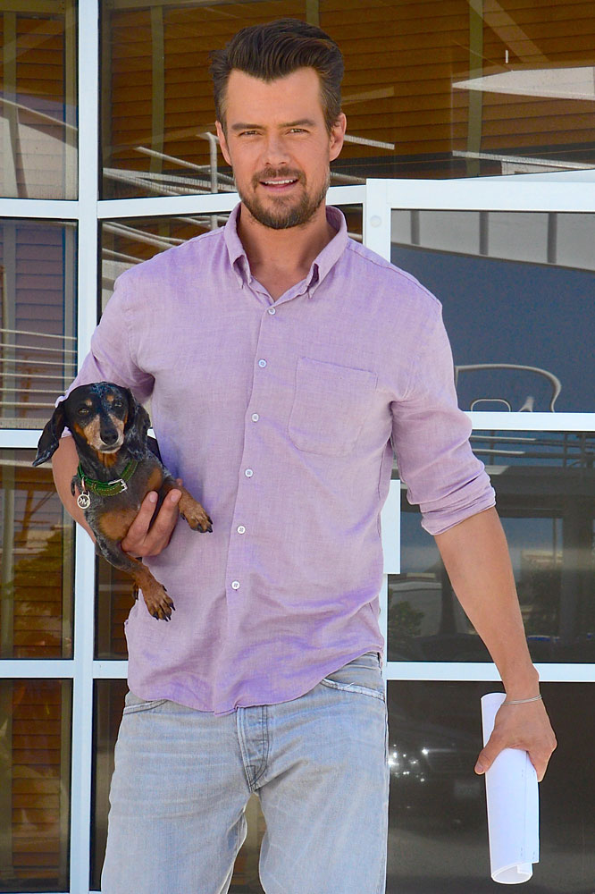 Josh Duhamel is seen leaving work with his dog June 21, 2013 in Los Angeles.