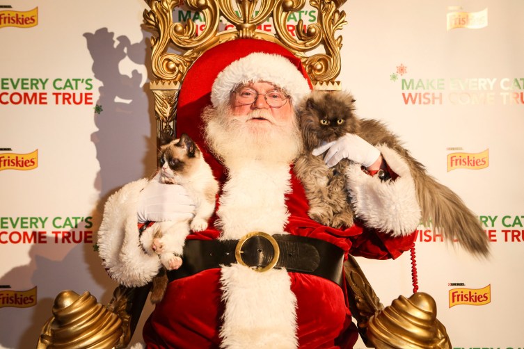 grumpy-cat-christmas-colonel-meow