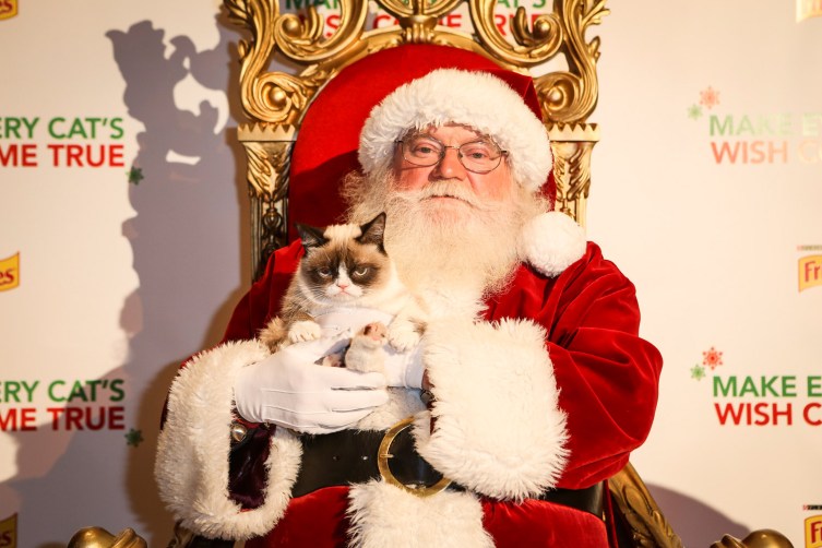 grumpy-cat-christmas-santa