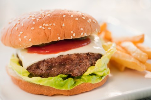 Studio shot of hamburger