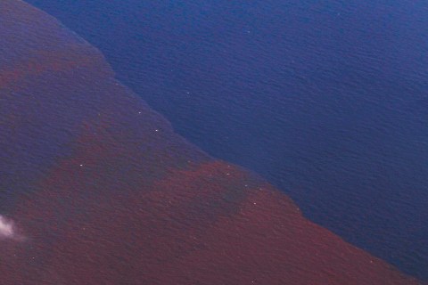 Oil sits in the waters off the Chandeleur Islands, Louisiana