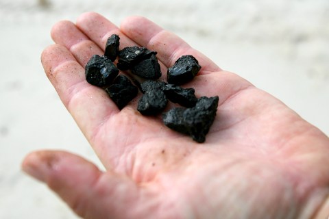 SCAT member holds up hard tar balls found on the beach in Pass Christian, Mississippi