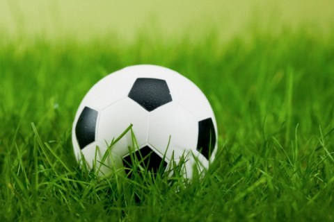 Close-up of miniature soccer ball on grass