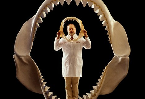 Dr. Clifford Jeremiah Inside Reconstructed Megalodon Jaws