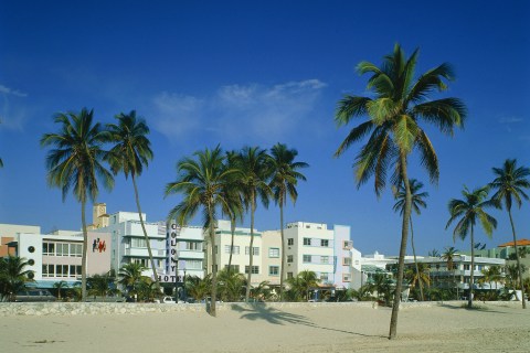Miami's Beachfront