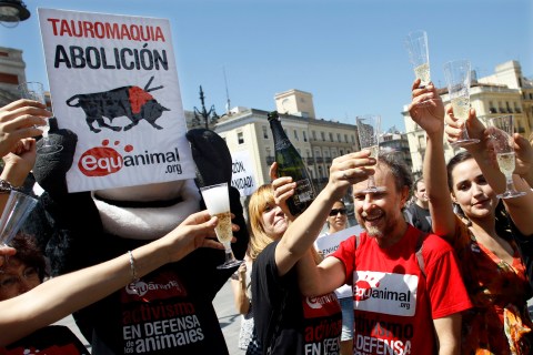 Catalonia Bullfighting Ban