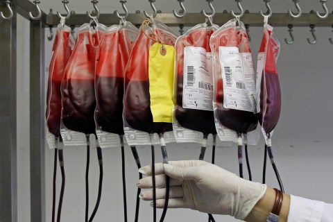 A technician checks bags containing blood samples in the laboratory of the Etablissement Francais du Sang (French Blood Institution) in Marseille