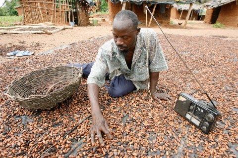 A farmer sorts cocoa beans at Kouadioyaokro