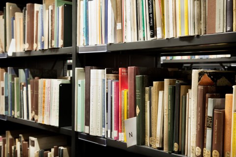 Library book shelf