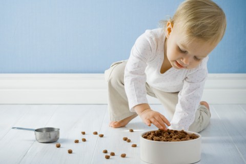 Little girl with a bowl of dog food