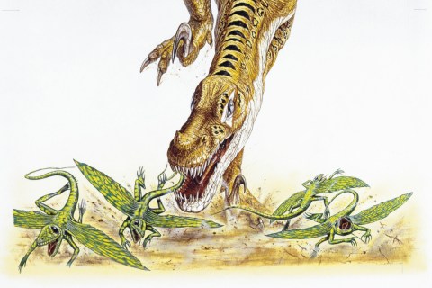 Illustration representing Velociraptor hunting