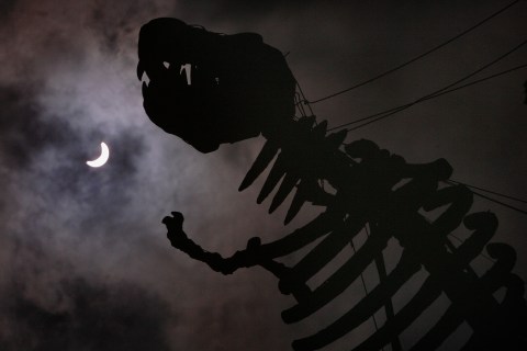 A dinosaur sculpture is silhouetted against a partial solar eclipse in Taipei