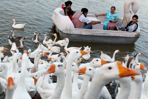 A man takes photos of geese from a paddle boat on the shores of Sukhana Lake in Chandigarh