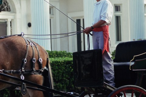 Charleston Carriage Driver