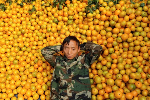 A vendor lies on oranges as he waits for customers at a market in Hefei