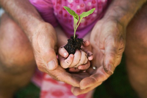 Child holding plant