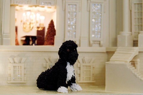 A model of the Obamas' family dog Bo is seen with the White Chocolate Gingerbread House in the State Dining Room of the White House