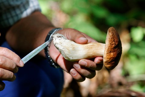Man cuts mushroom with knife