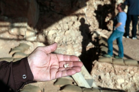 Professor Gopher holds a pre-historic tooth at Qesem cave near the town of Rosh Ha'ayin