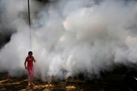 India Fumigation