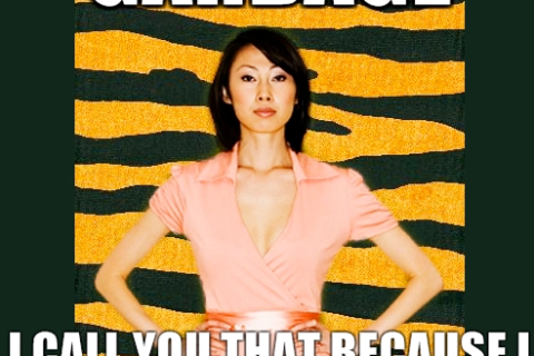 Amy Chua meme generator takes off on the internet (Photo from Tiger Mom Says)