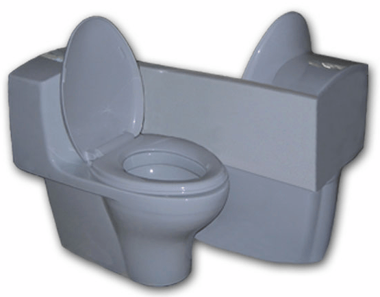 Toilet For Two