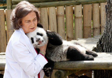 Spanish Queen Sofia holds a panda at the Madrid Zoo & Aquarium