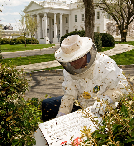 Presidential Buzz White House Garden Home To A Beehive Time Com