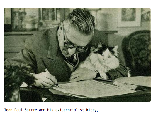 Tumblr of the Week: Writers and Kitties | TIME.com