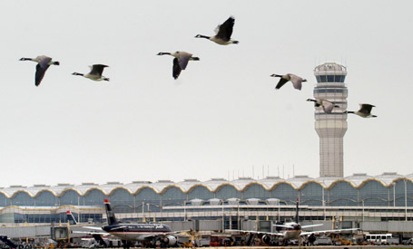 Canada on sale goose heathrow