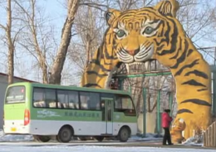 Siberian Tiger Park