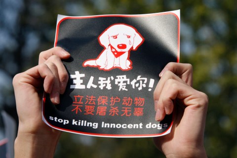 A protester holds up a sign during a rally against the new "one-dog policy" in Beijing