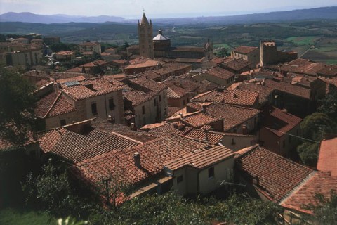 High angle view of houses in a town, Maremma, Massa Marittima, Tuscany, Italy
