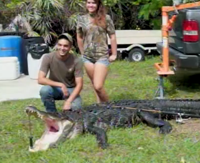 Teenger Caught 800 Pound Alligator in South Florida, USA