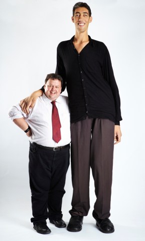 Tallest Man 