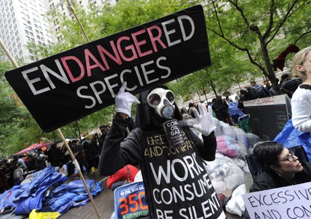 Demonstrators with 'Occupy Wall Street'
