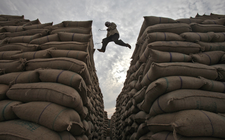 A worker leaps over stacked sacks of paddy at a wholesale grain market in Chandigarh