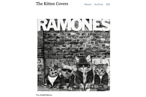 The Kitten Covers