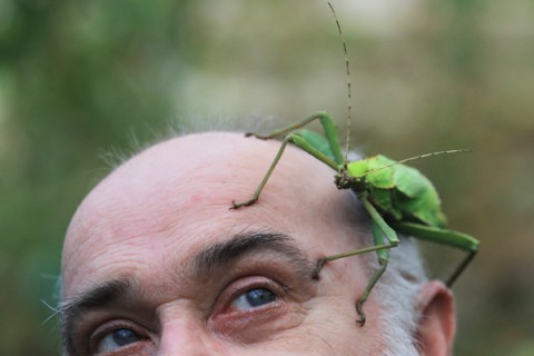 A zookeeper poses with a Jungle Nymph stick insect during a media event for the annual stocktake at Whipsnade Zoo in Bedfordshire