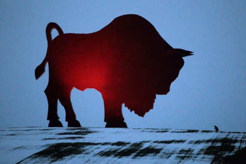 A man walks towards a giant metal statue of a bison in a field near the village of Dudichi