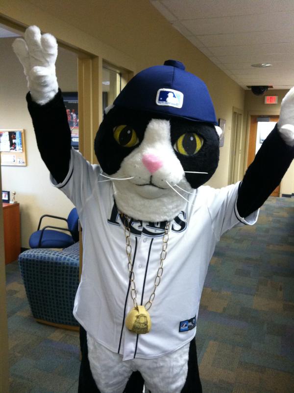 Out of the video board and onto the field: DJ Kitty now exists in full  mascot form