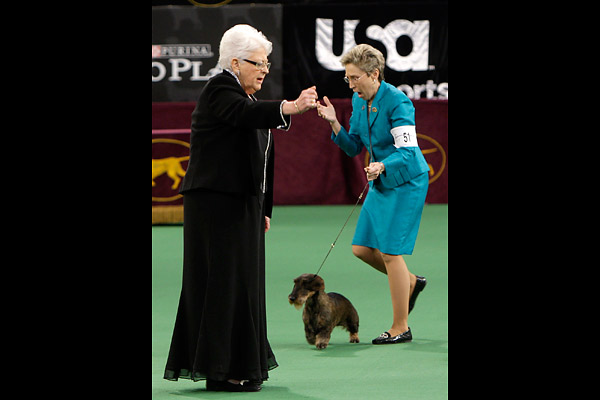 "Best in Group" at the Westminster Kennel Club Dog Show