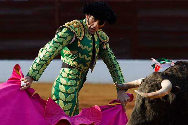 A Bullfighter Returns to the Ring