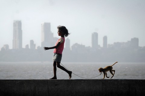 A girl walks with her pet monkey on a promenade along the Arabian Sea in Mumbai