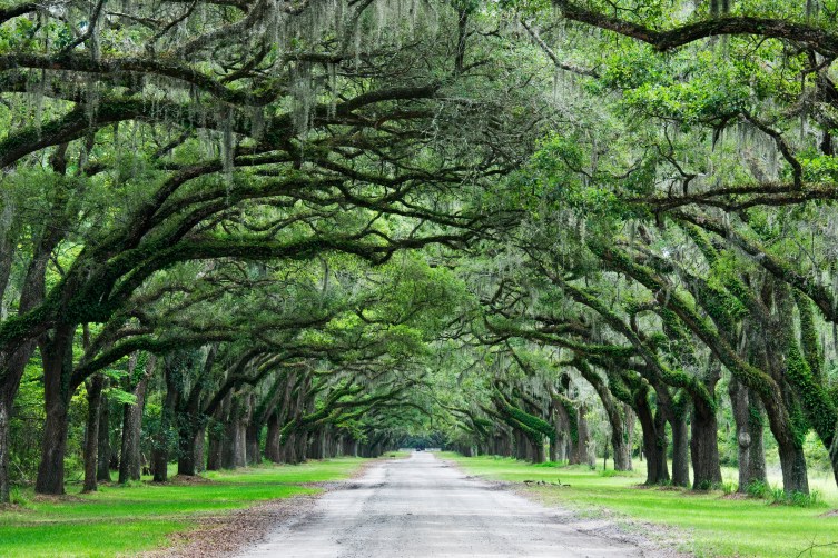2. Savannah, Georgia | Where Are America's Greenest Cities? | TIME.com