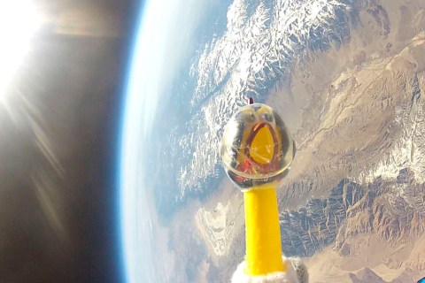 NASA handout photo of Camilla the chicken at 124,800 feet above California