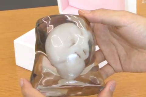 3-D Fetus Sculpture Screengrab
