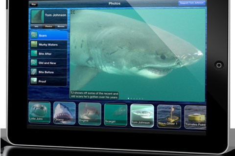 Shark Net app for iOS devices-2_Courtesy Stanford University-1